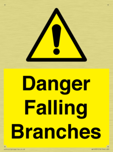 Danger Falling Branches